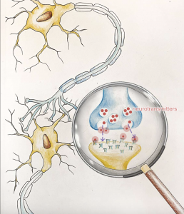 Illustration of synapses